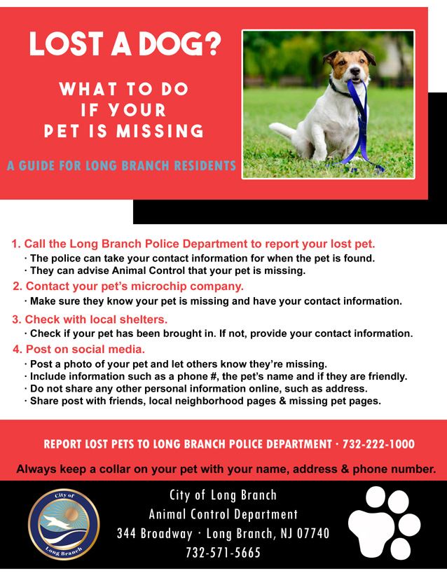 Report lost pets to Long Branch Police Department