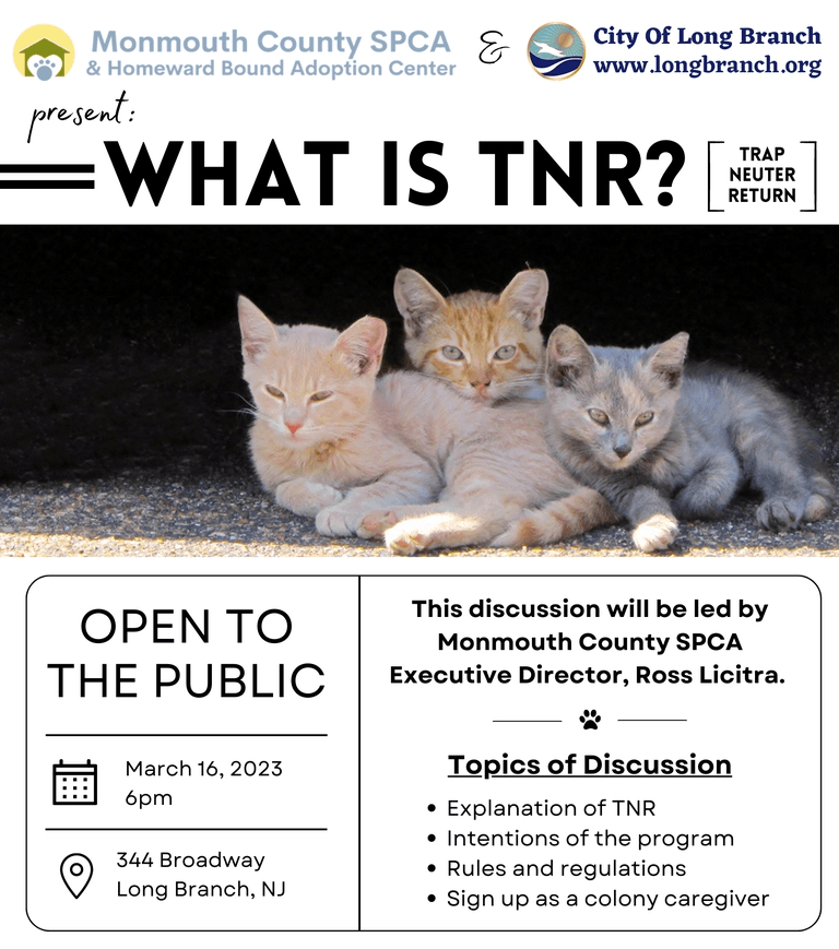 TNR
