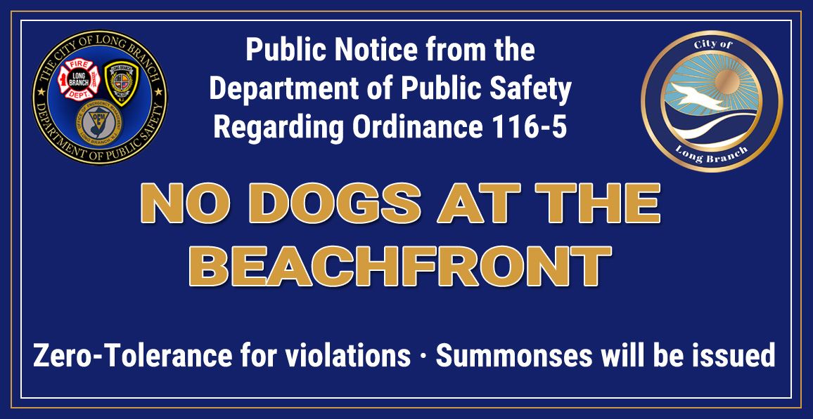 No Dogs At the Beach Notice