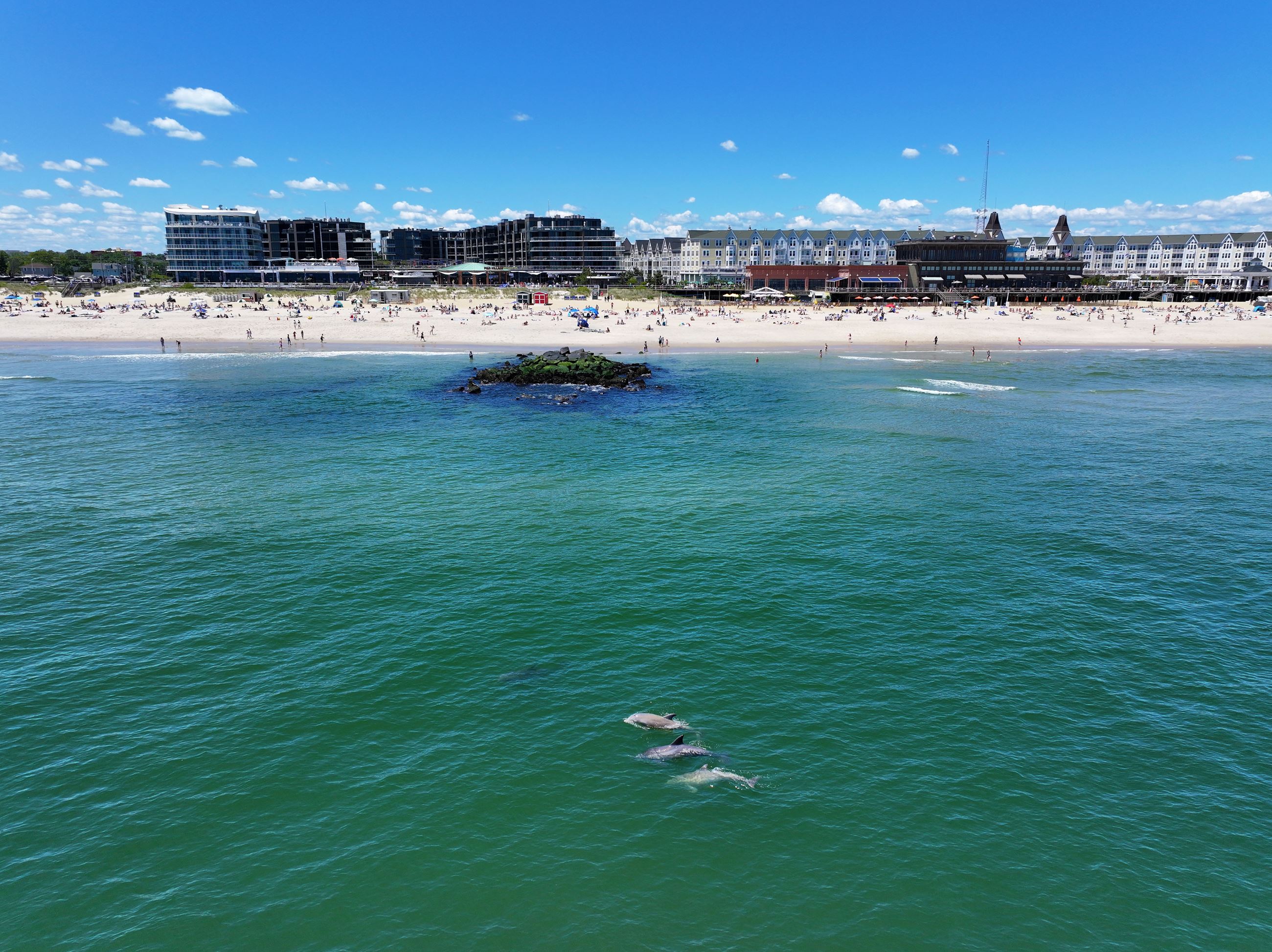 dolphin rocks beach image 2025