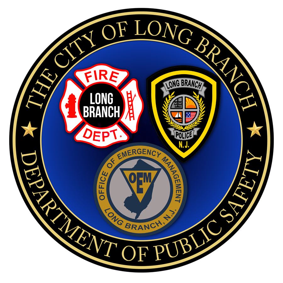 Department of Public Safety Logo